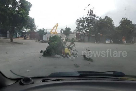 Clip nhánh cây bị gió thổi bay, quật ngã người đi xe máy ở Hà Nội