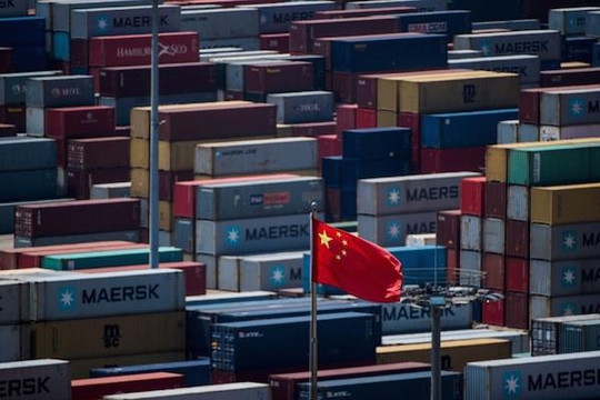 Sản lượng cá tra Trung Quốc 2018 có thể đạt 30.000 tấn, giá cạnh tranh với Việt Nam
