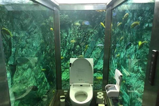 Nhà vệ sinh có thiết kế như thủy cung ở Nhật Bản