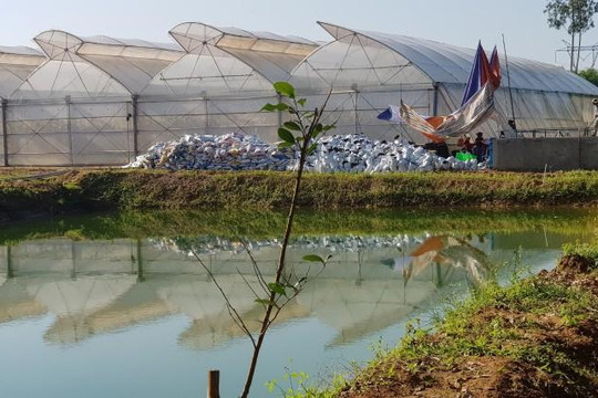 Thừa Thiên-Huế: Phát hiện dự án nông nghiệp công nghệ cao không phép trong nhà máy nước sạch