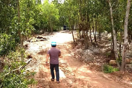 Ông Nguyễn Thái Lĩnh đã mua 25ha đất ở xã Thắng Hải với giá hơn 4,2 tỉ đồng