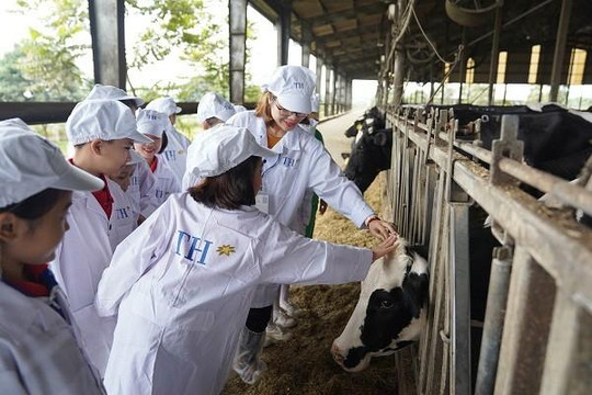 Một ngày trải nghiệm vui vẻ của các em nhỏ tại trang trại bò sữa Organic TH
