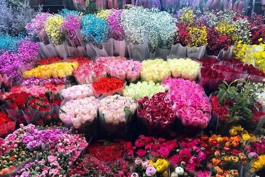Chợ hoa lớn nhất Hà Nội rực rỡ trước thềm xuân