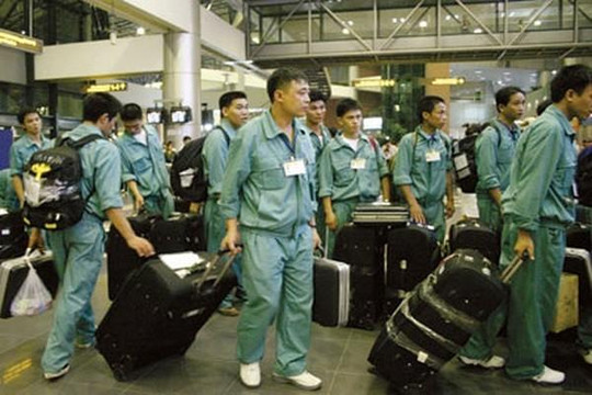 Trở lại Hàn Quốc, lao động Việt Nam phải trả phí cách ly 2 triệu đồng/ngày