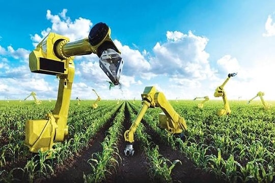 Năm 2030, đưa công nghiệp chế biến nông, lâm, thủy sản vào tốp 10 thế giới