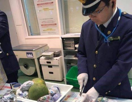 Du lịch Nhật, đừng bao giờ mang những thực phẩm, trái cây sau