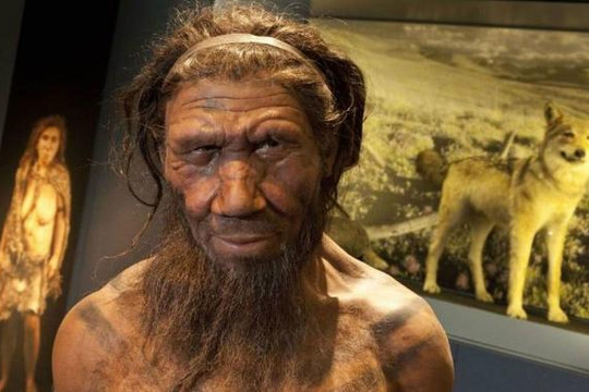 Giao phối với người Neanderthal giúp chống lại bệnh cúm, viêm gan