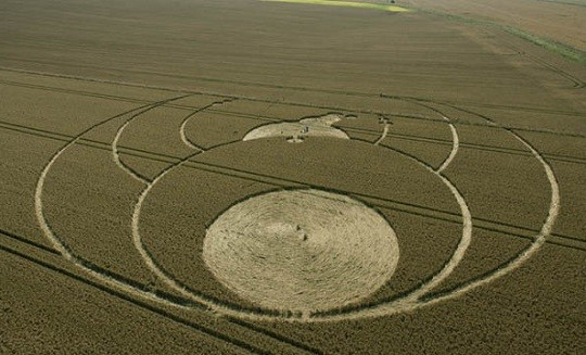 Lý giải về sự tồn tại của những vòng tròn bí ẩn trên cánh đồng