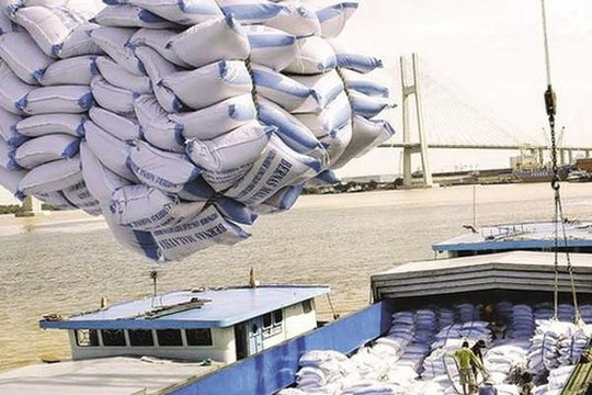 Thủ tướng đồng ý cho xuất khẩu gạo nhưng cần đảm bảo an ninh lương thực