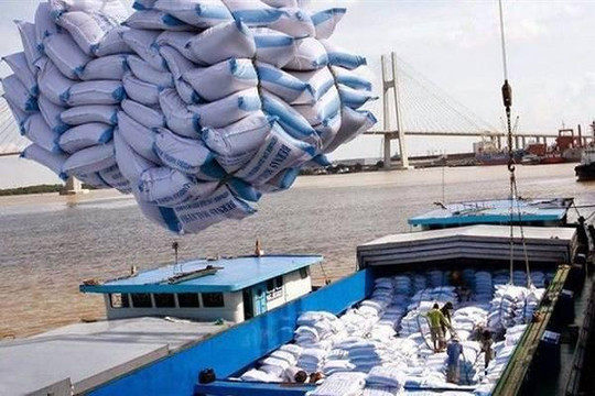 Trung Quốc tồn kho lớn, xuất khẩu gạo Việt Nam gặp bất lợi về thị trường