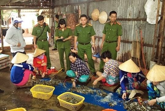 Cà Mau: Bị phạt 70 triệu vì thu gom, vận chuyển 627 kg tôm sú có tạp chất