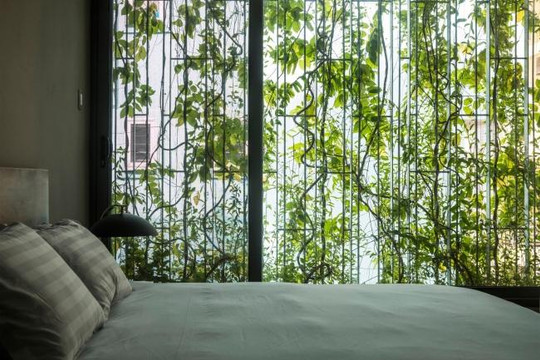 Breathing House, 'ngôi nhà thở' rợp bóng cây xanh trong hẻm nhỏ Sài Gòn