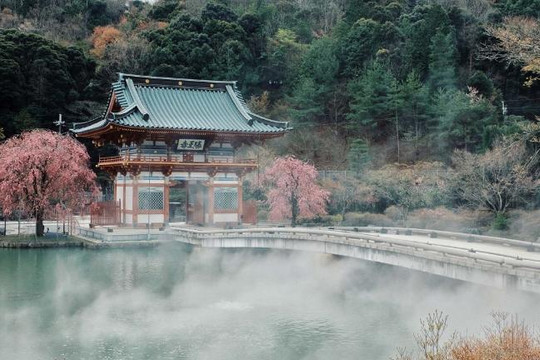 Đến ngôi chùa chứa hàng nghìn búp bê Daruma ở Nhật Bản
