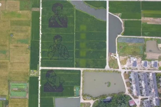 Clip tạo hình vinh danh 3 người hùng chống COVID-19 trên cánh đồng 30.000 m2