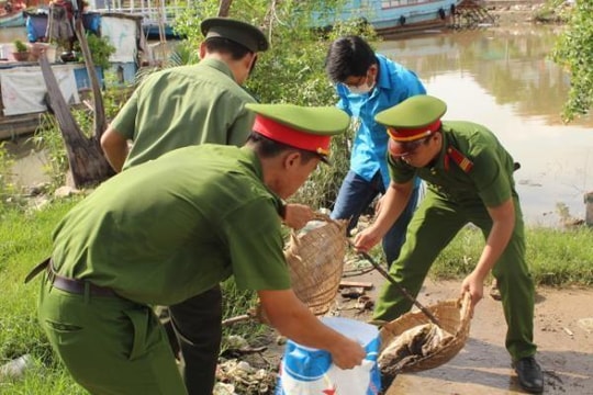 Gieo hạt giống xấu