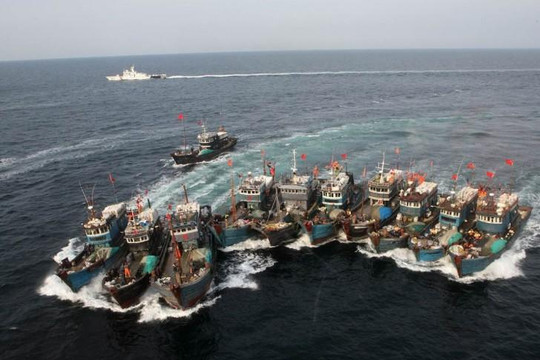 Vùng biển Nam Mỹ ‘lâm nguy’ trước các tàu cá Trung Quốc