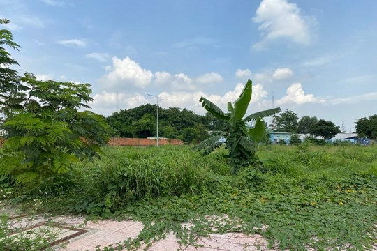 Dự án Alva Plaza do Việt An làm chủ đầu tư được rao bán khi vẫn là bãi đất trống