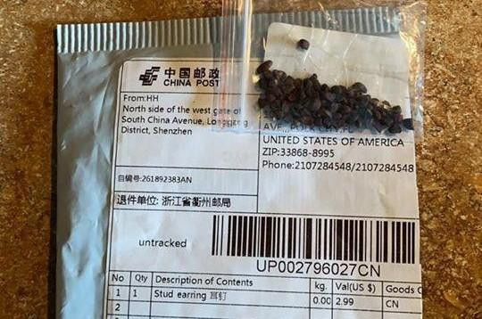 Phát hiện cỏ gây hại, ấu trùng bọ trong gói hạt giống ‘bí ẩn’ từ Trung Quốc