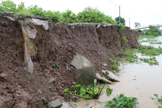 Bạc Liêu: Cảnh báo tình trạng sạt lở bờ sông, bờ biển mùa mưa bão