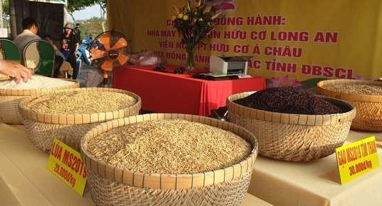 Giá lúa tăng cao, nông dân miền Tây Nam Bộ phấn khởi