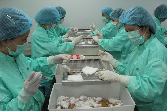 Việt Nam có 4 đơn vị đang nghiên cứu vắc-xin COVID-19 với tiến độ khả quan