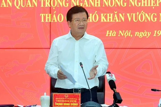 Phó thủ tướng Trịnh Đình Dũng: Nhà nước phải tạo môi trường đầu tư để huy động các nguồn lực phát triển