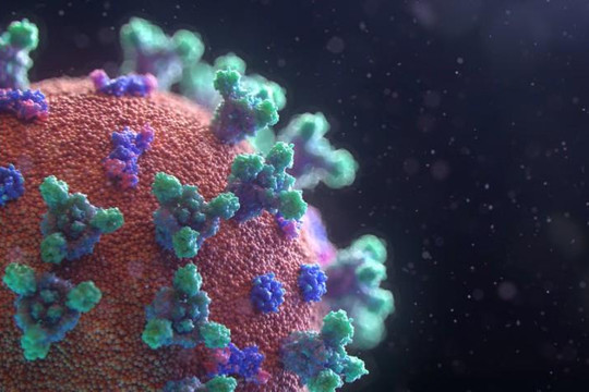 Đột biến coronavirus dễ lây gấp 10 lần: Độc lực không mạnh hơn chủng khác, vắc xin kháng được
