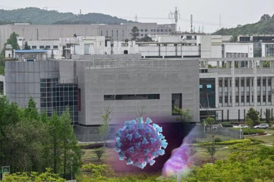 Mỹ tìm bằng chứng bệnh nhân đầu tiên và SARS-CoV-2 bắt nguồn từ Viện Virus học Vũ Hán