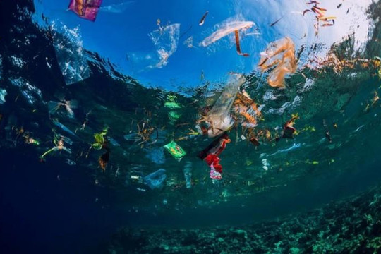 Lượng rác thải nhựa ở Đại Tây Dương cao gấp 10 lần so với ước tính