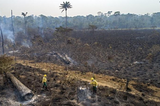 Rừng Amazon tiếp tục cháy dữ dội trong năm 2020 và Trái đất đang nóng dần