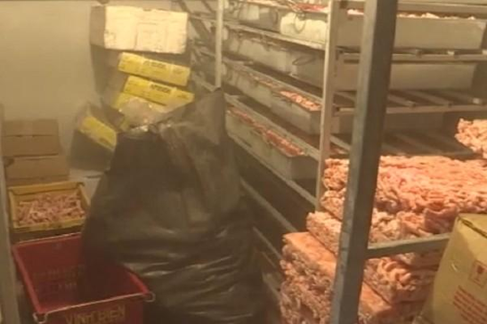 Bắt quả tang 24 tấn nội tạng lợn nhiễm dịch tả lợn châu Phi sắp ra thị trường