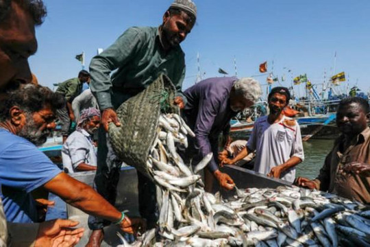 Ngư dân Pakistan phản đối tàu cá Trung Quốc vơ vét tài nguyên biển