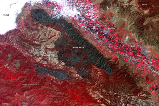 NASA hỗ trợ theo dõi các đám cháy rừng ở California từ không gian 