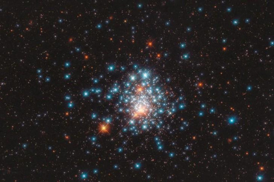 Hàng nghìn ngôi sao nằm chen chúc như đàn ong chụp bởi kính thiên văn Hubble