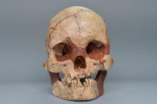 Phát hiện hộp sọ người 16.000 năm tuổi ở Trung Quốc