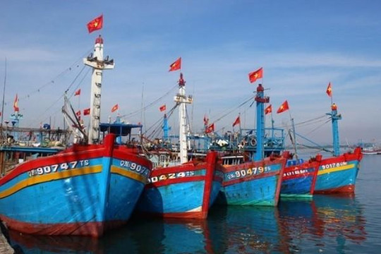 Phó thủ tướng yêu cầu chấm dứt tình trạng tàu cá Việt Nam vi phạm ở vùng biển nước ngoài