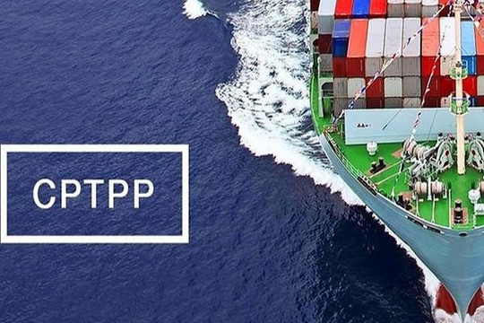 Hiệp định CPTPP: Thị phần hàng hóa Việt Nam tại các nước còn thấp