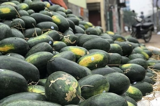 Lấy 'ngon' làm nguyên tắc, người tiêu dùng Trung Quốc thích ăn trái cây Việt