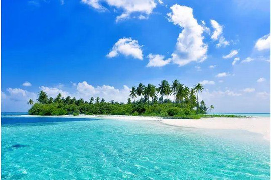 Maldives: Tuyển quản lý hiệu sách 'đi chân trần và thích mộng mơ'