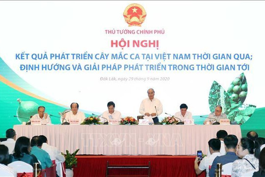 Thủ tướng Nguyễn Xuân Phúc nêu những vấn đề nóng phát triển cây mắc ca tại VN