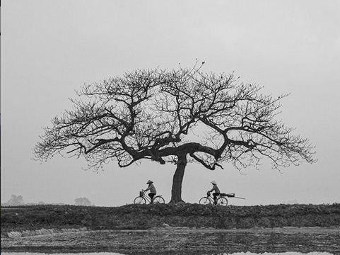 Khoảnh khắc mùa đông ngoại ô Hà Nội trên Natgeo Your Shot 