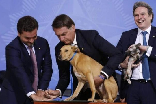 Tổng thống Brazil ban hành luật chống ngược đãi động vật trước sự chứng kiến của chú chó cưng
