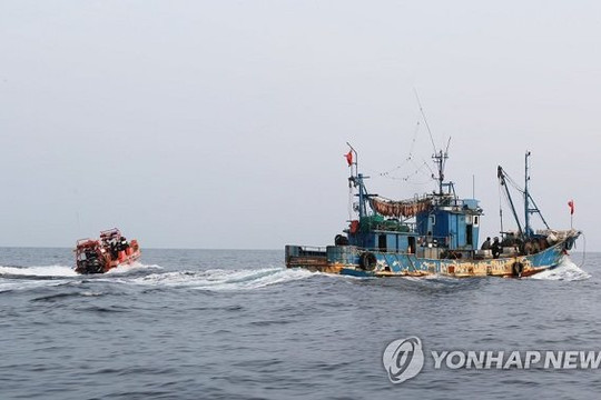 Tình trạng tàu cá Trung Quốc đánh bắt phi pháp ở vùng biển Hàn Quốc gia tăng