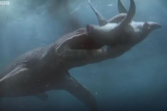Video mô phỏng cuộc săn mồi của "quái vật" mạnh nhất đại dương