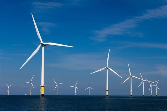 Bình Thuận tập trung nhiều dự án điện gió ngoài khơi công suất lớn 