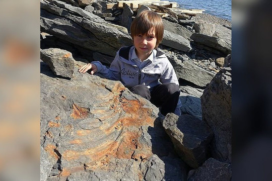 Cậu bé 7 tuổi tìm thấy hóa thạch khủng long 250 triệu năm