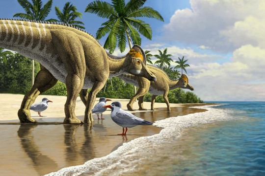 Hóa thạch đầu tiên của khủng long mỏ vịt được phát hiện ở châu Phi