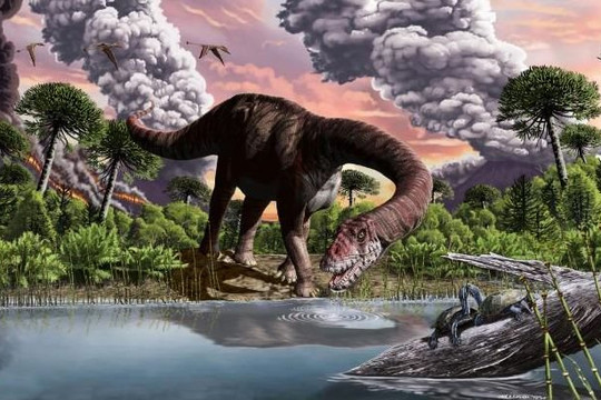 Phát hiện hóa thạch loài khủng long cổ dài lớn nhất trên cạn
