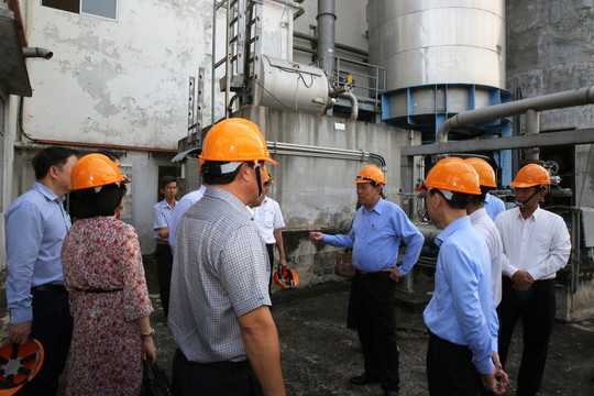 Phó Thủ tướng Trương Hòa Bình yêu cầu lên phương án xử lý dự án Nhà máy Bột giấy Phương Nam