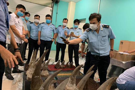 Bắt hàng trăm kg nghi là sừng tê giác nhập lậu qua sân bay Tân Sơn Nhất